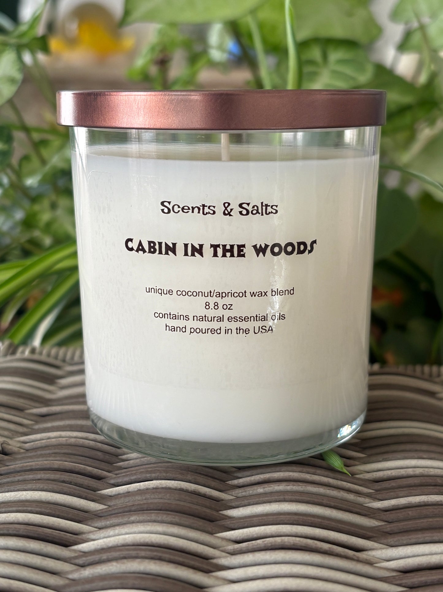 Cabin in the Woods