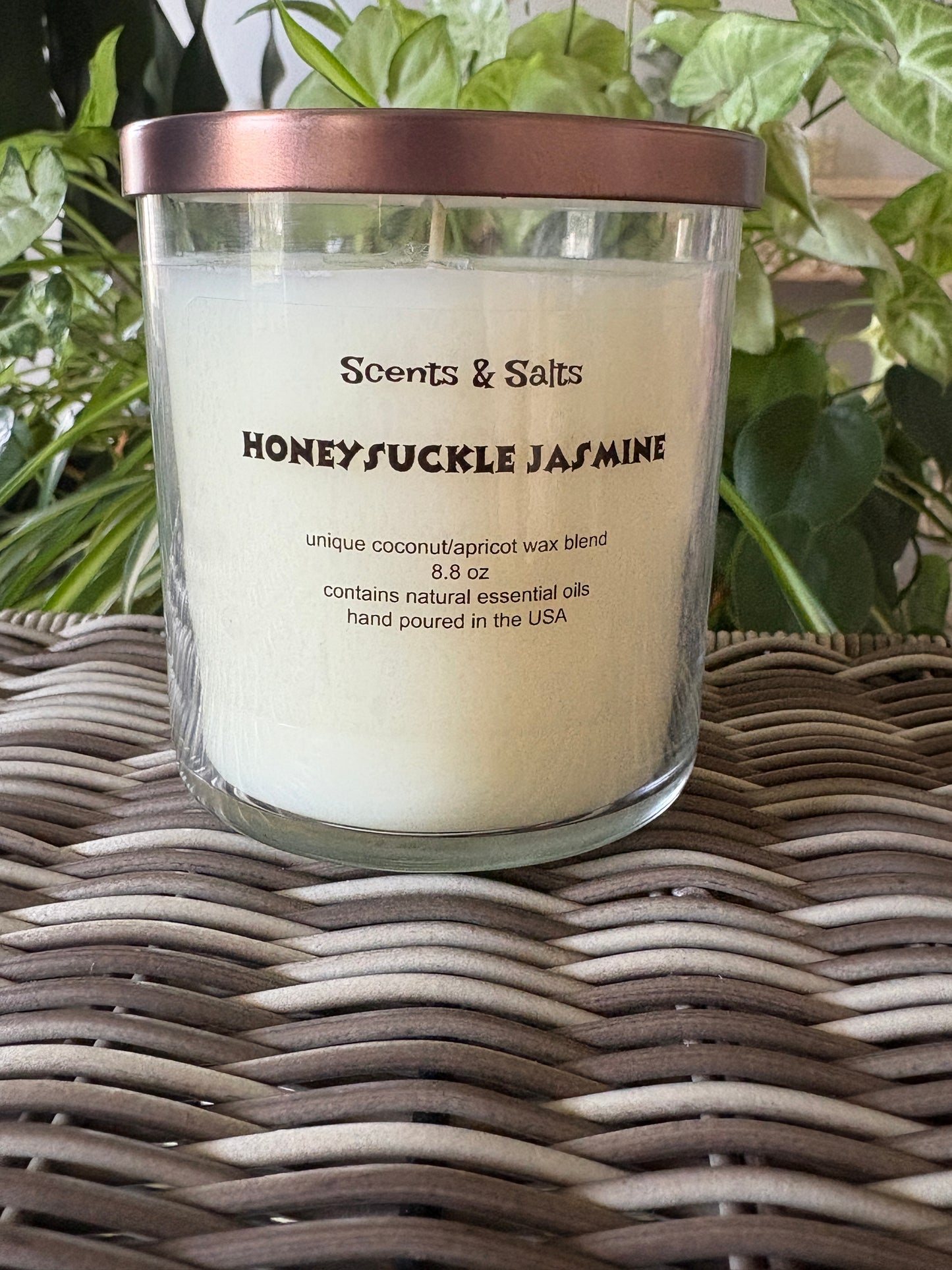 Honeysuckle Jasmine